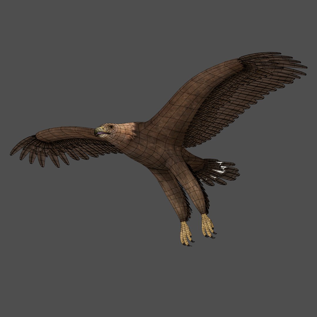 3d max golden eagle https://p.turbosquid.com/ts-thumb/Rp/jaaeFp/gXZoVMBn/goldeneagle07/jpg/1384576150/1920x1080/fit_q87/f69b737363bc7416d24dd613634be8bec1704a5d/goldeneagle07.jpg