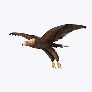 3d max golden eagle