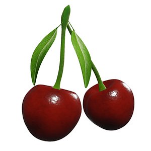 3D model Cherry Fruit