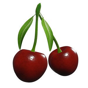 Cherry Fruit