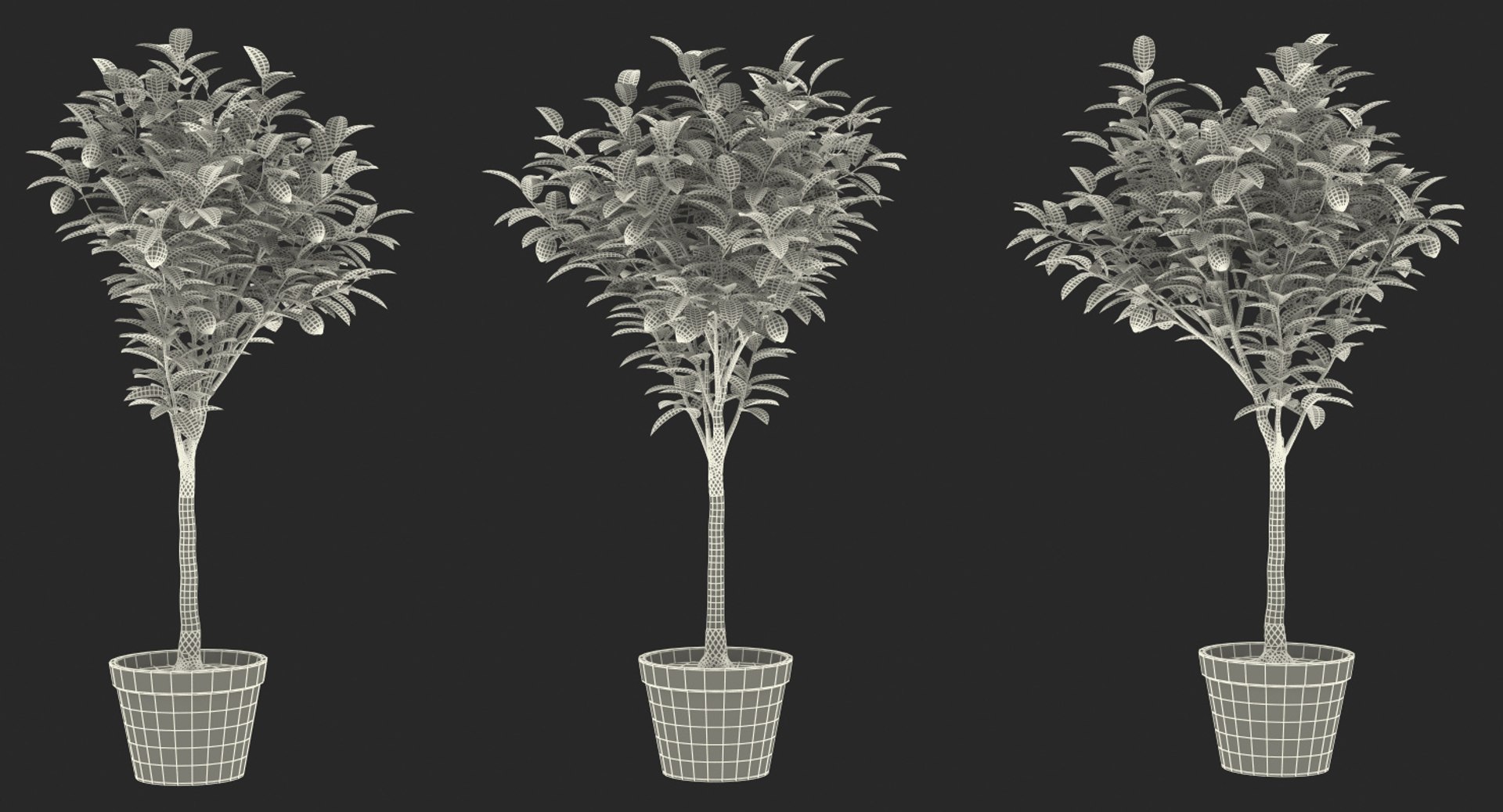 potted lemon tree 3D model https://p.turbosquid.com/ts-thumb/Rq/2L2lqf/3dr0zeTT/pottedlemontreec4dmodel017/jpg/1549916516/1920x1080/fit_q87/8eccce03562ba0c0fef482faf2f3774c91a75de3/pottedlemontreec4dmodel017.jpg