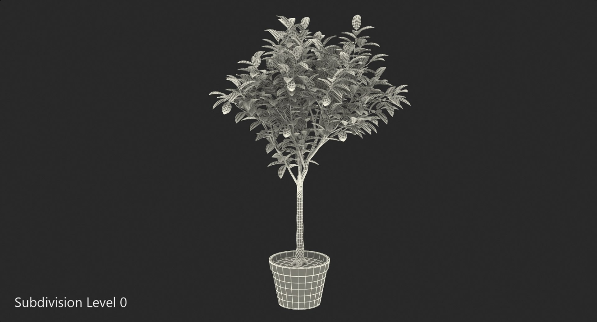 potted lemon tree 3D model https://p.turbosquid.com/ts-thumb/Rq/2L2lqf/RbiS2ok1/pottedlemontreec4dmodel010/jpg/1549916475/1920x1080/fit_q87/82f083575af8be8d856a027a811216677750f196/pottedlemontreec4dmodel010.jpg