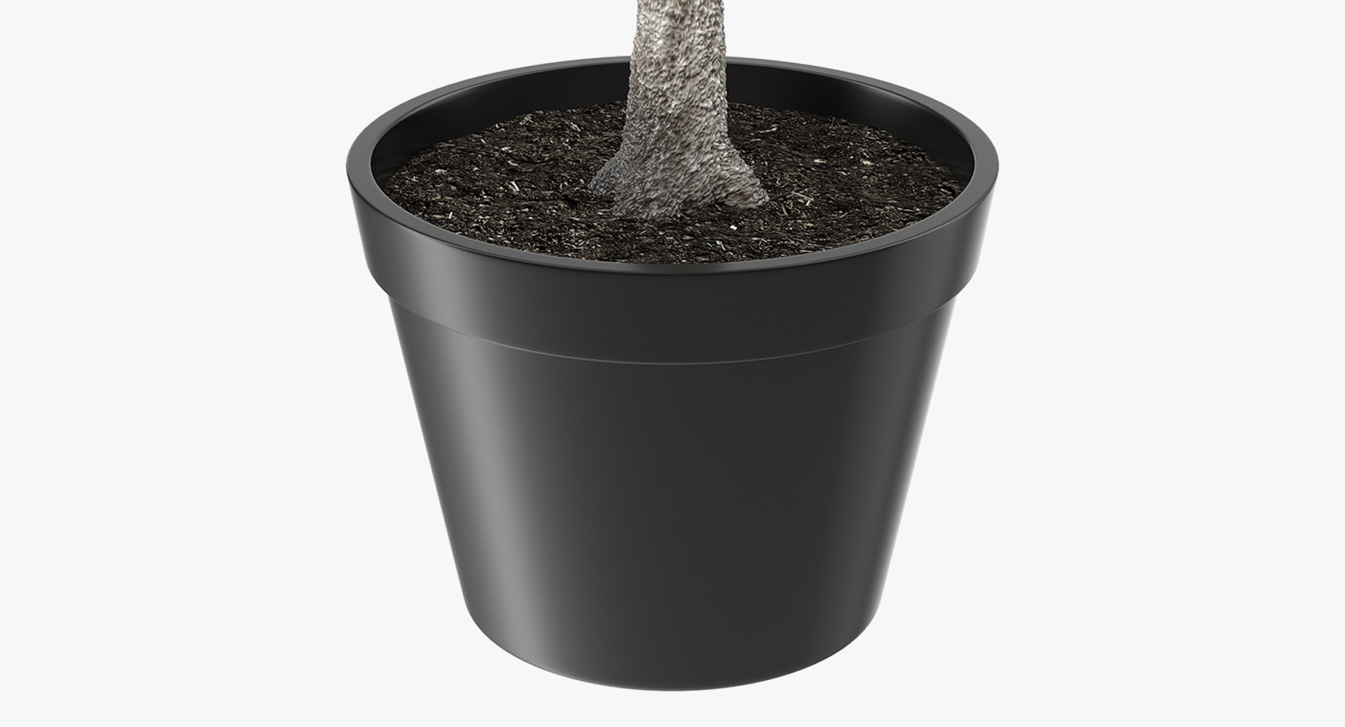 potted lemon tree 3D model https://p.turbosquid.com/ts-thumb/Rq/2L2lqf/aZEVq1pa/pottedlemontreec4dmodel009/jpg/1549916471/1920x1080/fit_q87/fd892ca11096325003170202806aead4efcf175b/pottedlemontreec4dmodel009.jpg