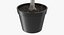 Potted Lemon Tree