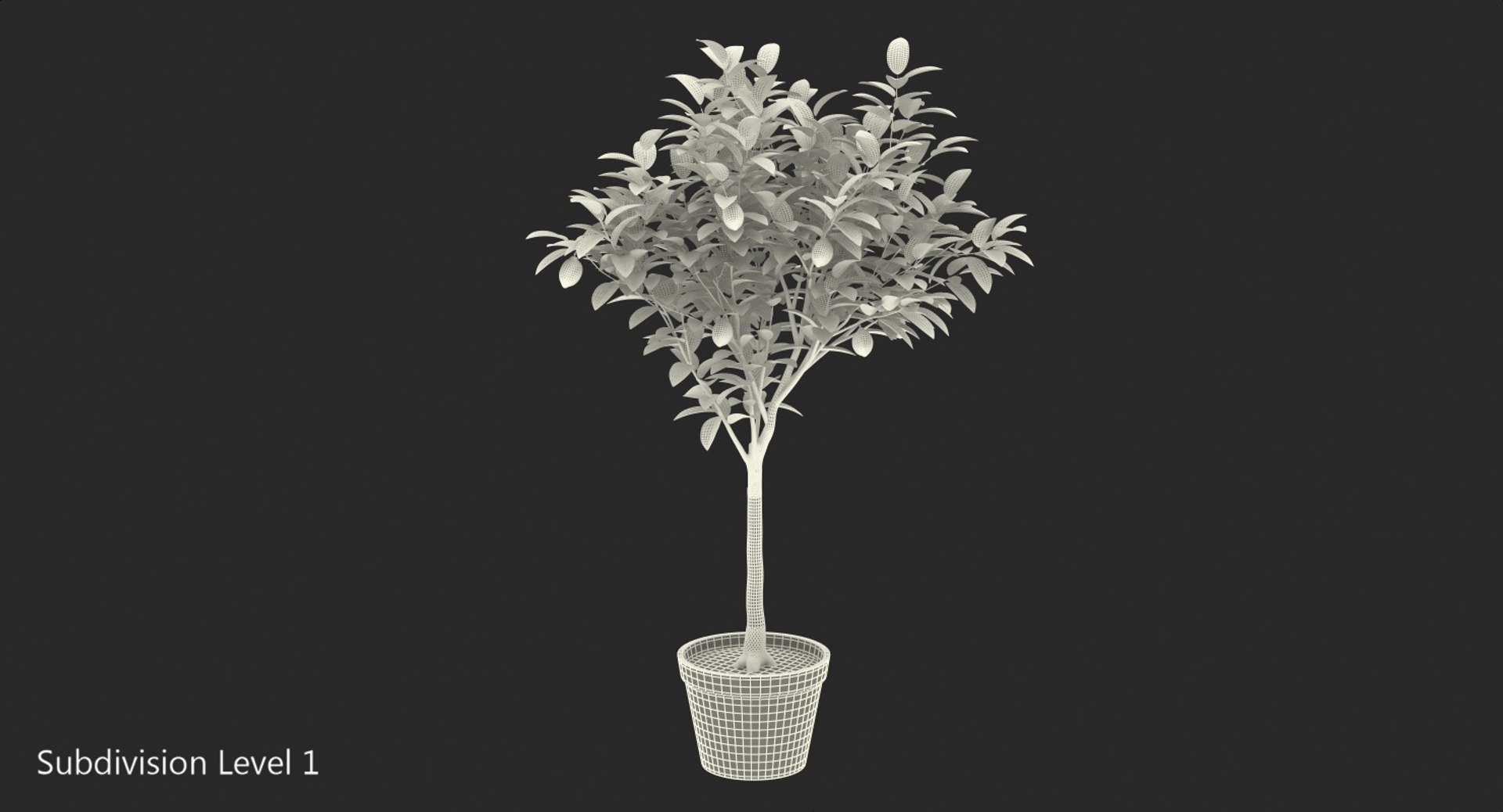 potted lemon tree 3D model https://p.turbosquid.com/ts-thumb/Rq/2L2lqf/i4Vf1TQ4/pottedlemontreec4dmodel011/jpg/1549916478/1920x1080/fit_q87/92269cf167b81482701207a49aebc695a6976825/pottedlemontreec4dmodel011.jpg