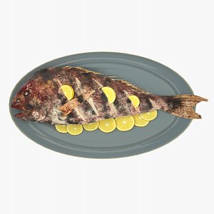 3D Fish Fillet Models - Browse & Download Formats - TurboSquid