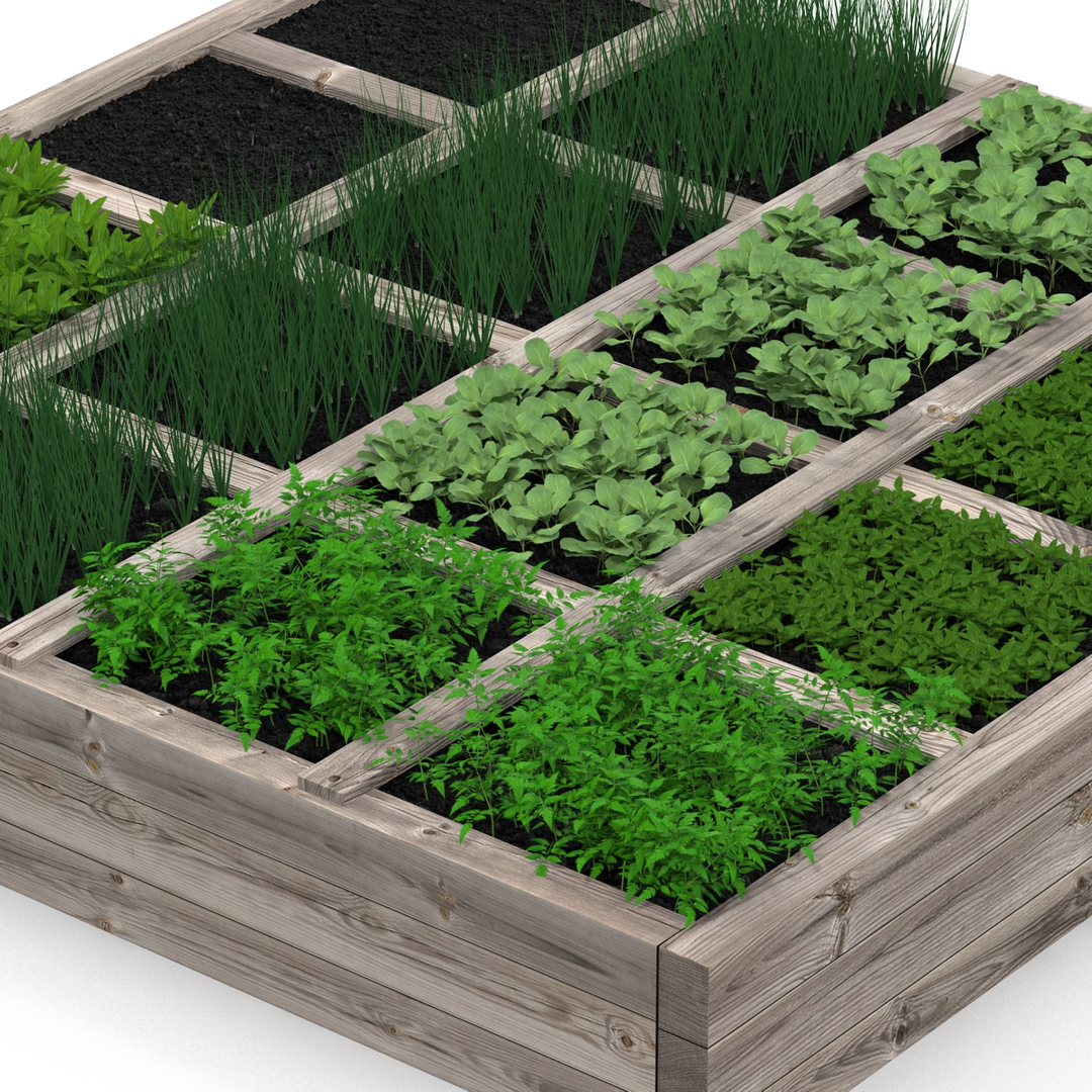 3d vegetable garden