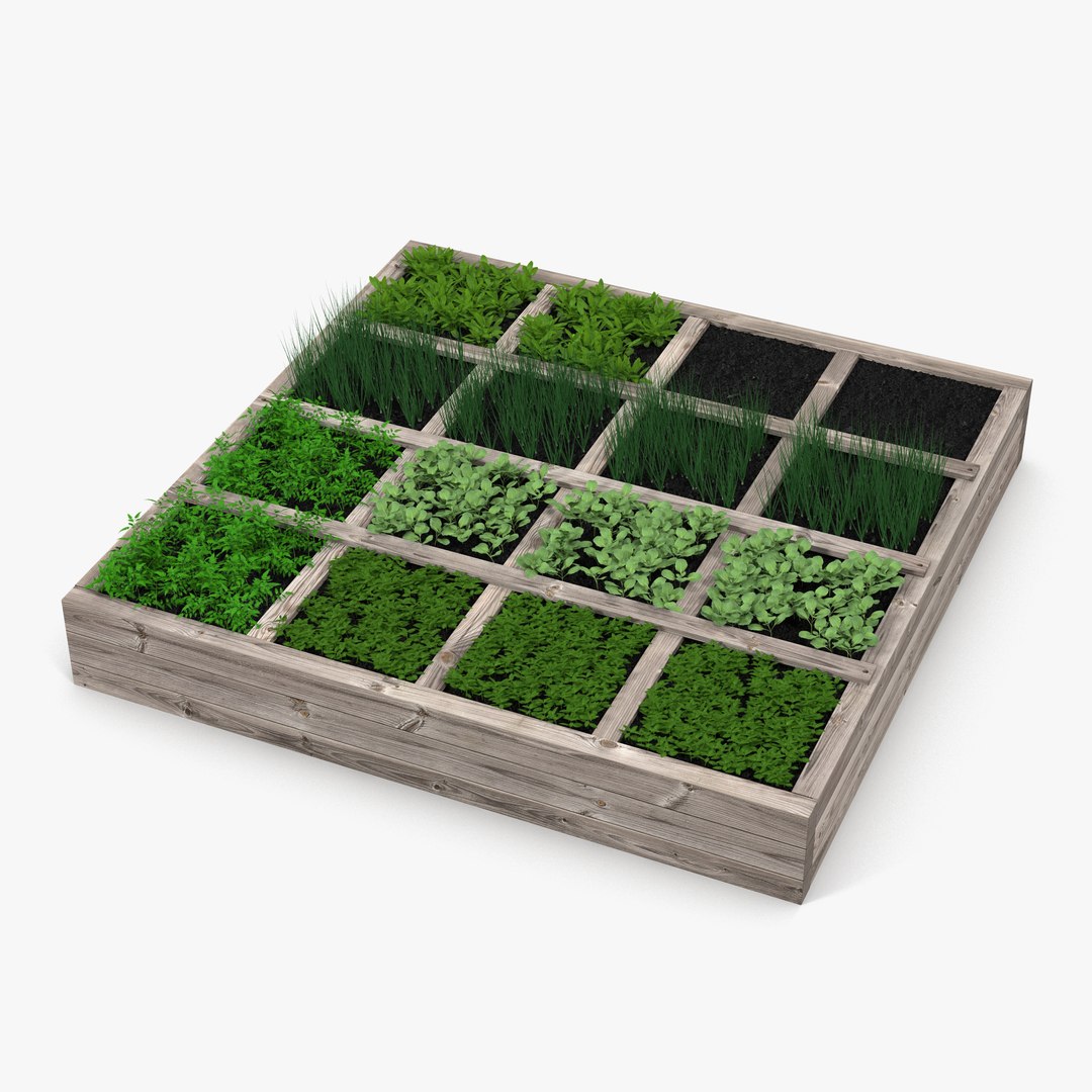 Vegetable Garden 3D model preview