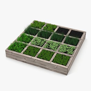Vegetable Garden
