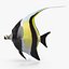 Idole Maure Jaune Rigged