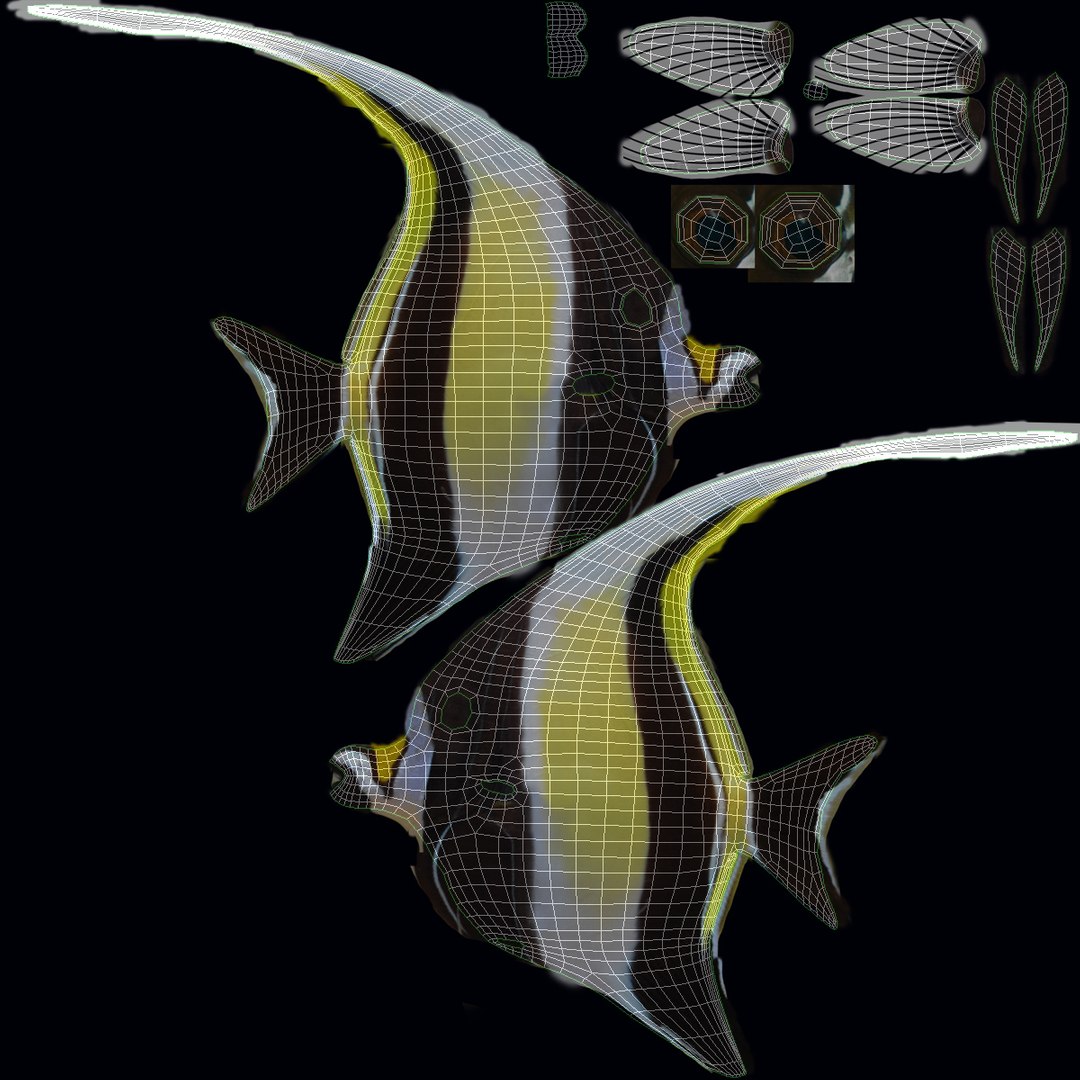 moorish idol yellow rigged max https://p.turbosquid.com/ts-thumb/Rq/Geh4gs/JL2XSK0Q/uvw/jpg/1417168244/1920x1080/fit_q87/283033738abe0ec5e118586266033173c6e08af6/uvw.jpg