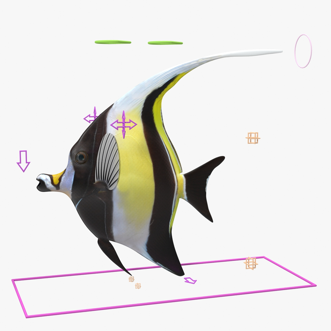 moorish idol yellow rigged max https://p.turbosquid.com/ts-thumb/Rq/Geh4gs/WUOnVGyY/clr/jpg/1417168566/1920x1080/turn_fit_q99/3381766252c4a7daddafcb235fdf47c17355a4c3/clr-1.jpg