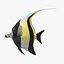 Idole Maure Jaune Rigged