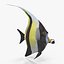 Idole Maure Jaune Rigged