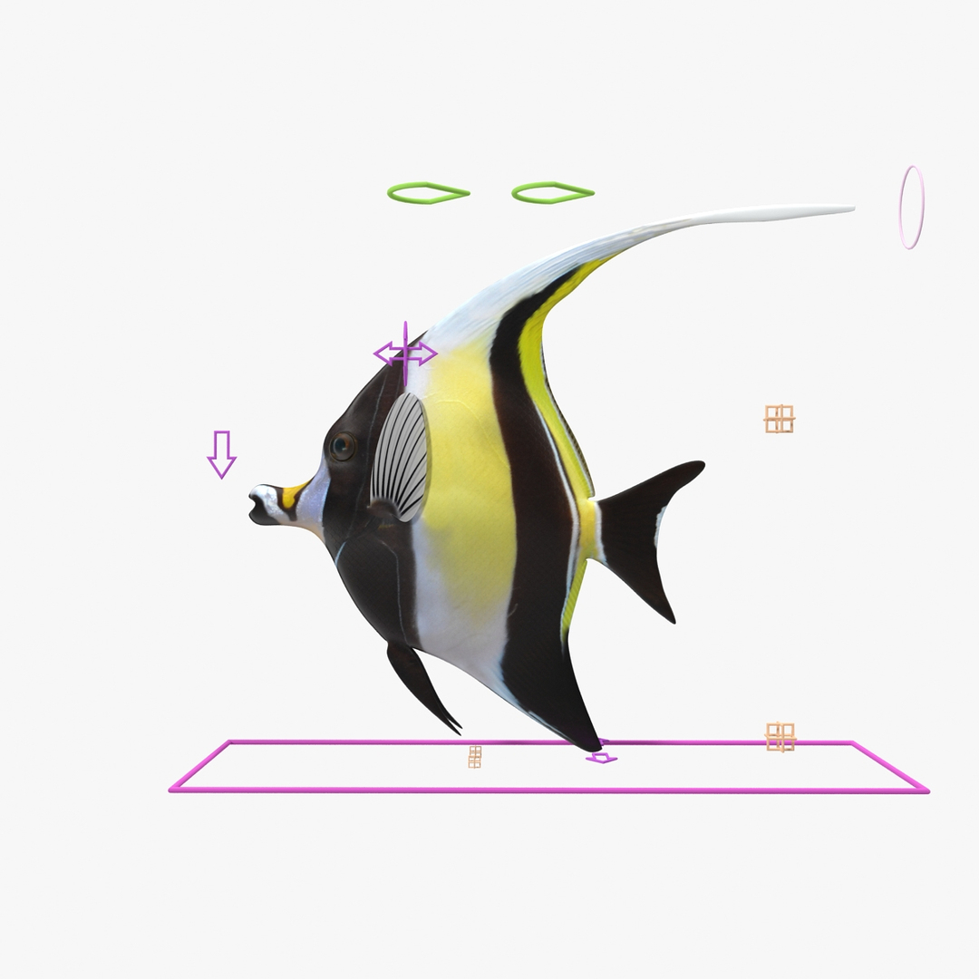 moorish idol yellow rigged max https://p.turbosquid.com/ts-thumb/Rq/Geh4gs/t2jdnXV6/360clr02/jpg/1417168300/1920x1080/turn_fit_q99/bf5e602fefcb1be81dc30fc065b7435c71d5cd5f/360clr02-1.jpg