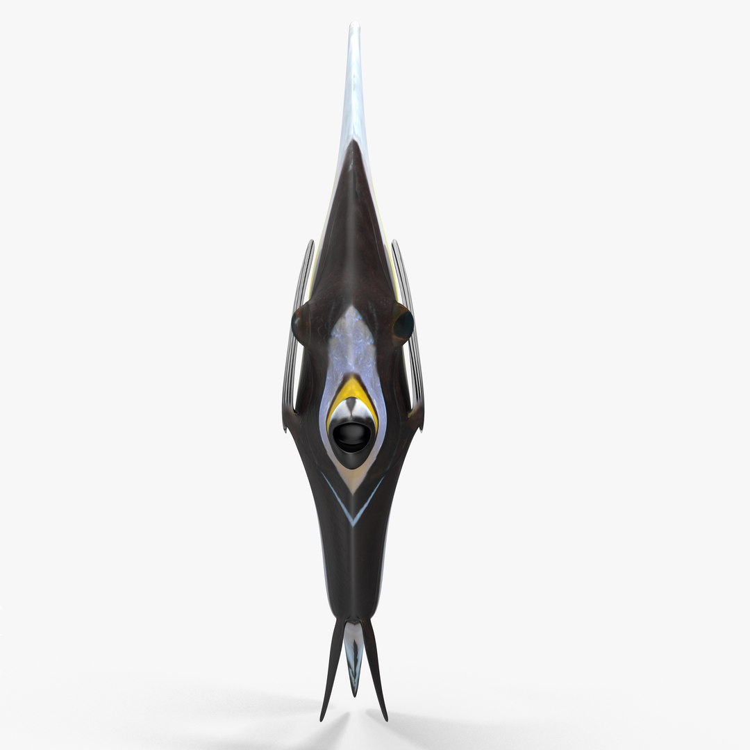 moorish idol yellow rigged max https://p.turbosquid.com/ts-thumb/Rq/Geh4gs/vB0qsqzq/cam02/jpg/1417168240/1920x1080/fit_q87/0be24cc540111ec04ef3f42630961a533ce553a8/cam02.jpg