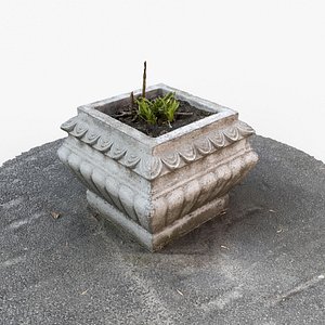 Photorealistic 3D scan of planter