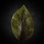 leaf 3D model