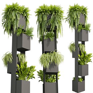 3D Collection plant vol 650 - Ferns - ampelous - column - box - banana