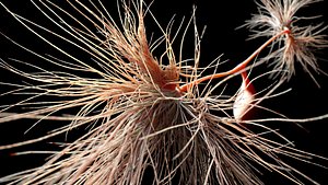 neuron 3D