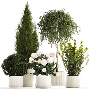 3D model Beautiful plants in pots for indoors and outdoors 1298