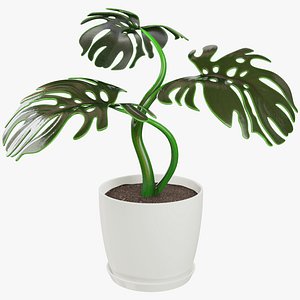 monstera pot model