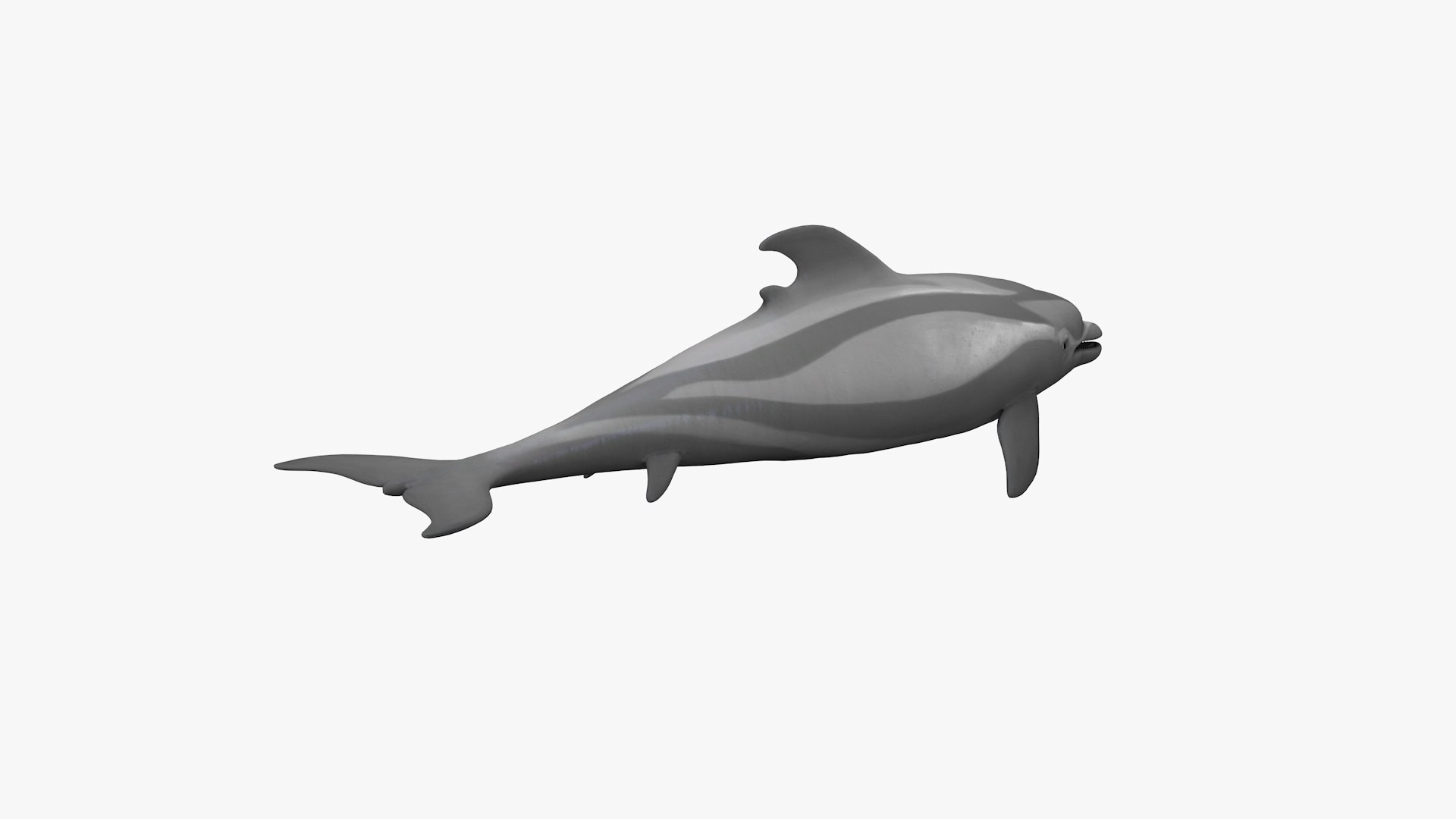 3D Dolphin Model - TurboSquid 2369847