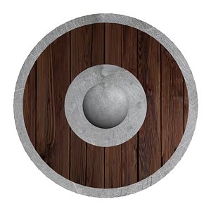 Medieval round shield