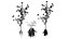 Modèle 3D de la plante Sium sisarum