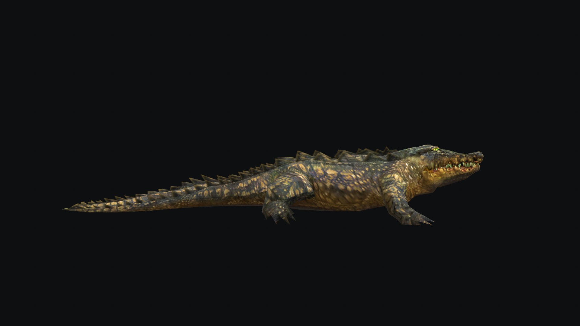 3D Animated Alligator Crocodile Model - TurboSquid 2640664