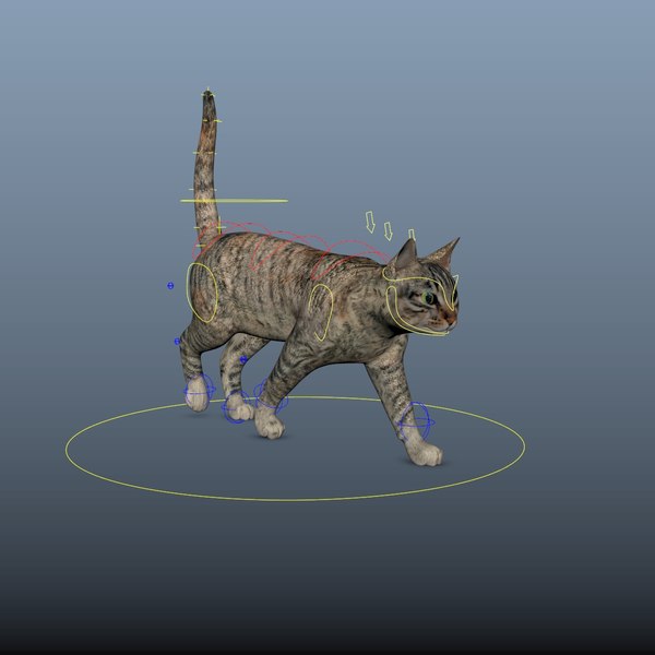 Cat rig - 3D | 1144208 | TurboSquid