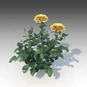 flower rose set 3d model