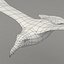 rigged flying seagull 3d max