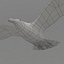 rigged flying seagull 3d max