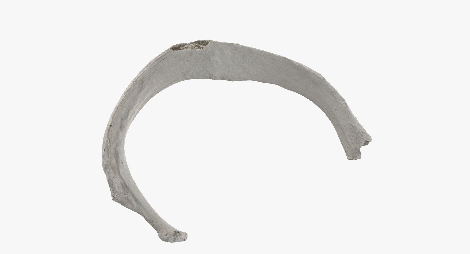 3D model Human Rib Cage Bones Colleciton White and Yellow - 26 models https://p.turbosquid.com/ts-thumb/Rr/eO825Y/S2/0000/jpg/1606987764/1920x1080/turn_fit_q99/d2ff820967b49ddc45925beddc465f0746830267/0000-1.jpg