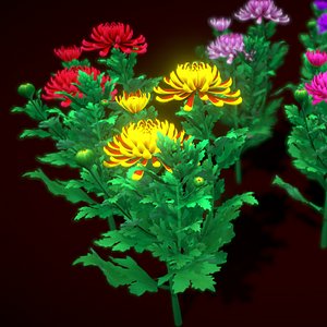 3D flower chrysanthemum model