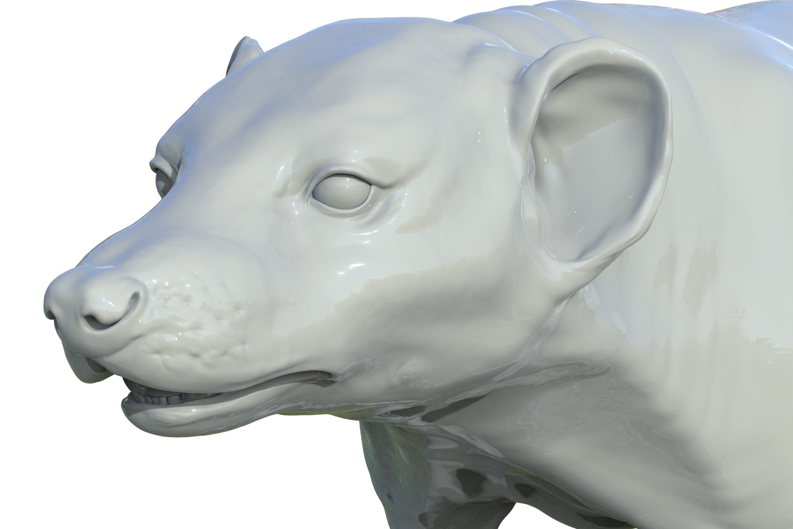 Badger 3D Model - TurboSquid 2205836