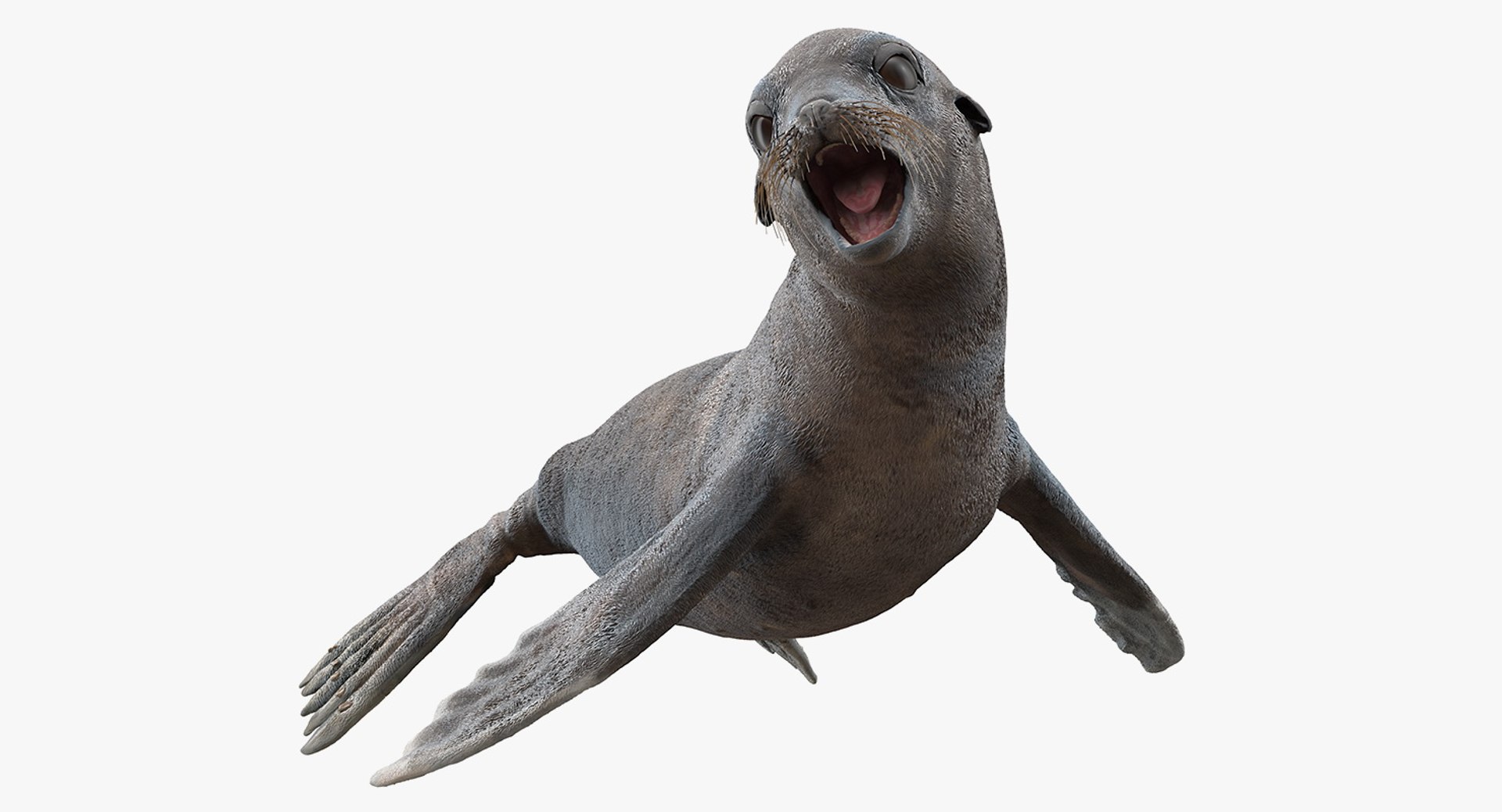 Sea Lion Wet Rigged for Cinema 4D 3D model preview