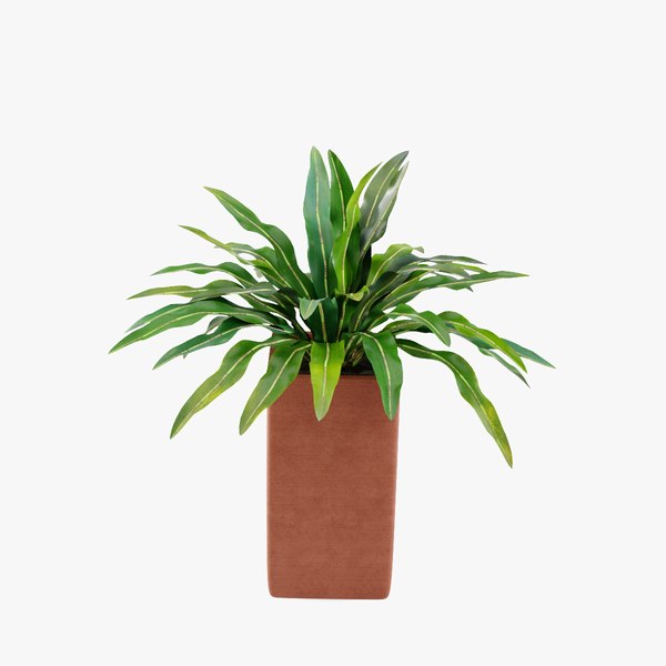 3D model plant design modeled