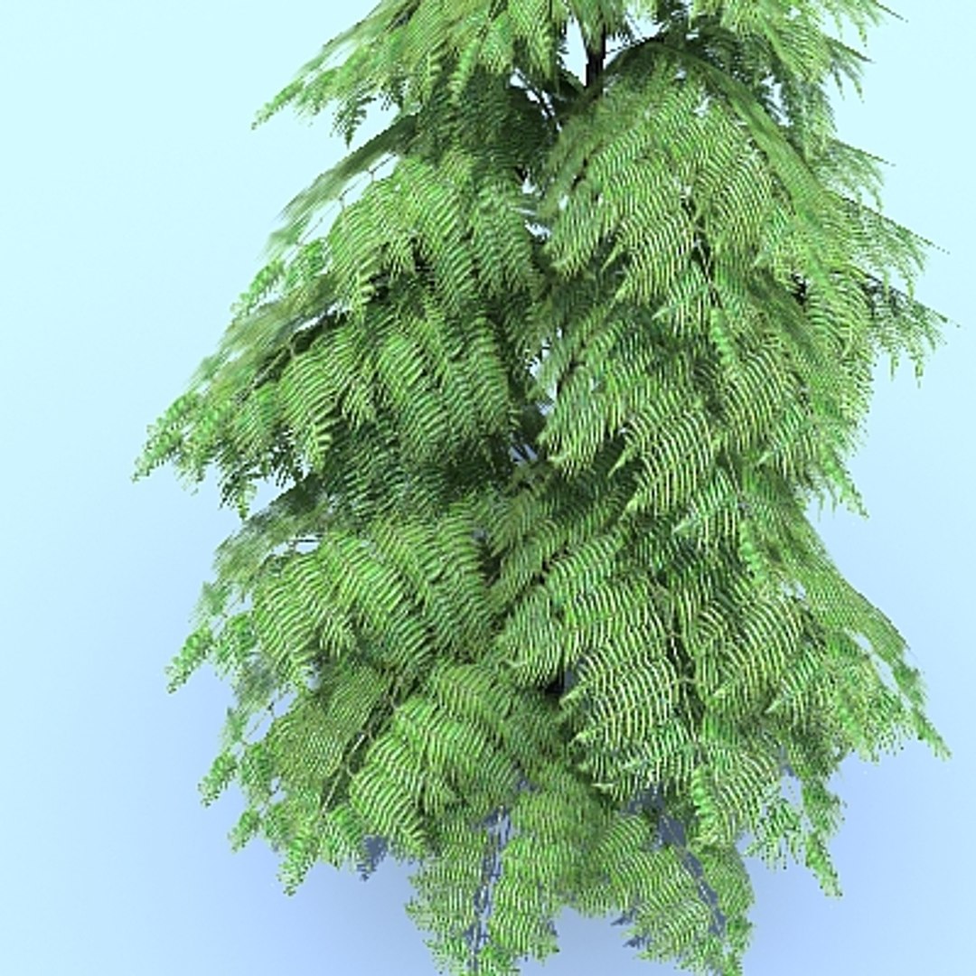 3d tree