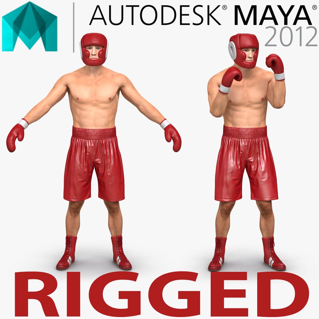 Boxer Man Rigged for Maya 3D Model 3D model preview
