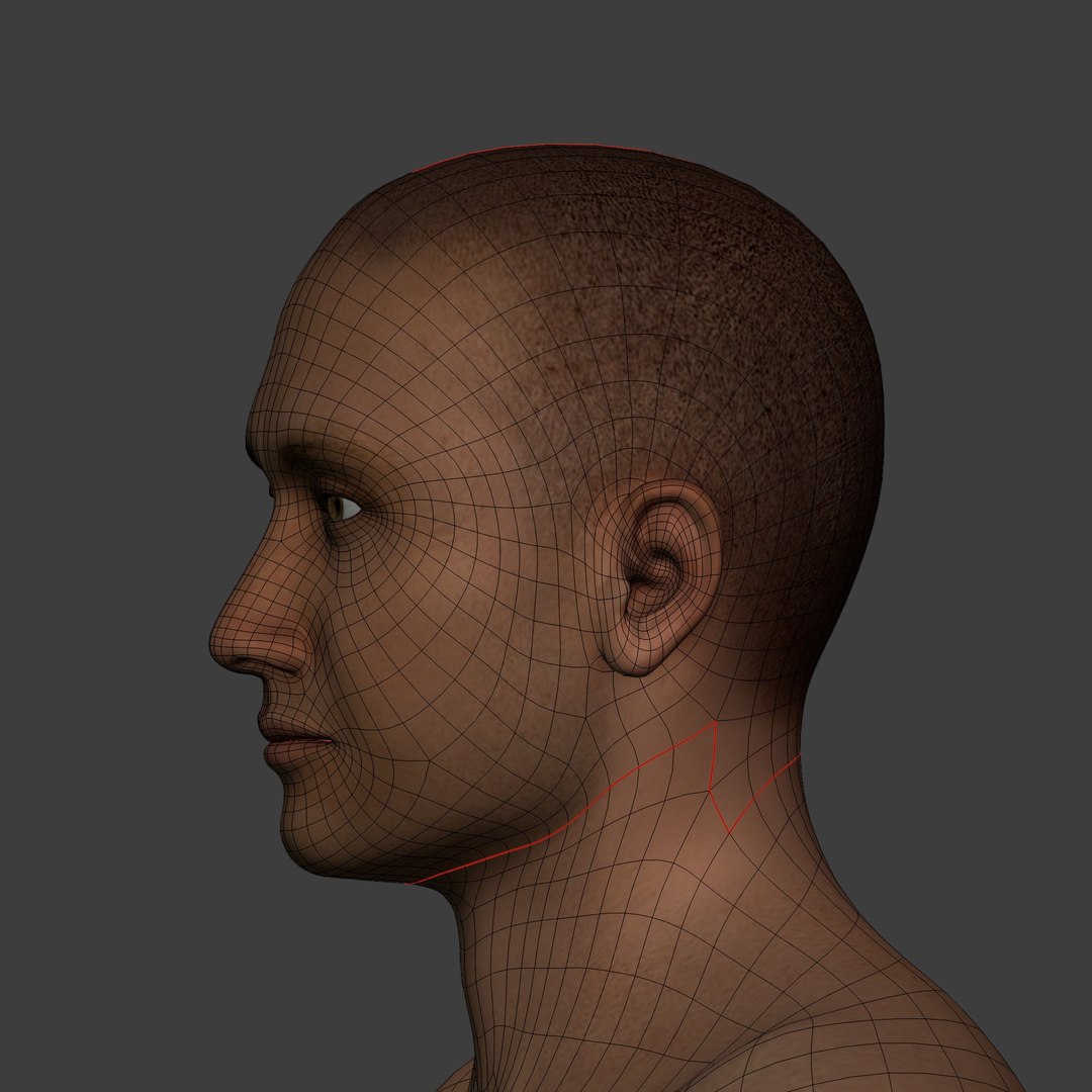 Sport 3D model https://p.turbosquid.com/ts-thumb/Rs/SmFohe/Bh/i20/jpg/1737725303/1920x1080/fit_q87/7d5b3c249994399d4c465bef1ec38f0e20969979/i20.jpg
