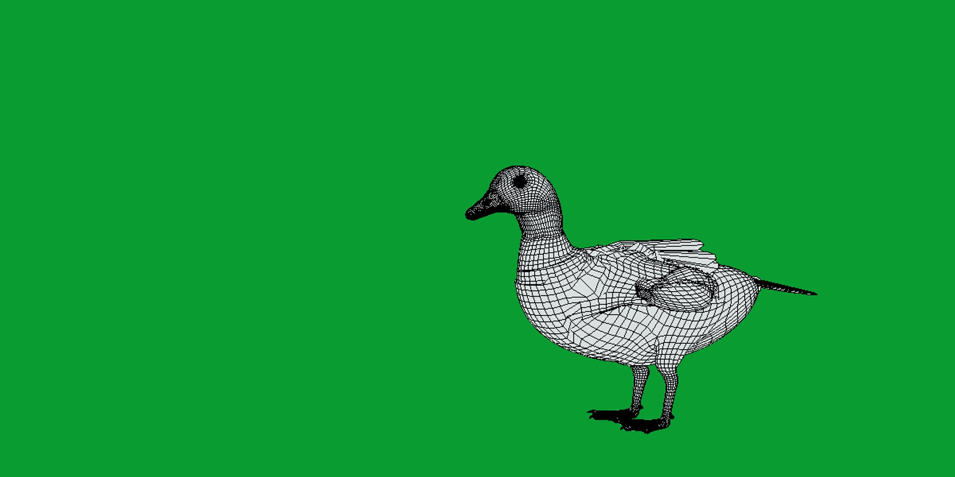 Emperor Goose Bird Model - TurboSquid 2360281