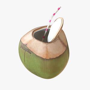 3D Tender Coconut model
