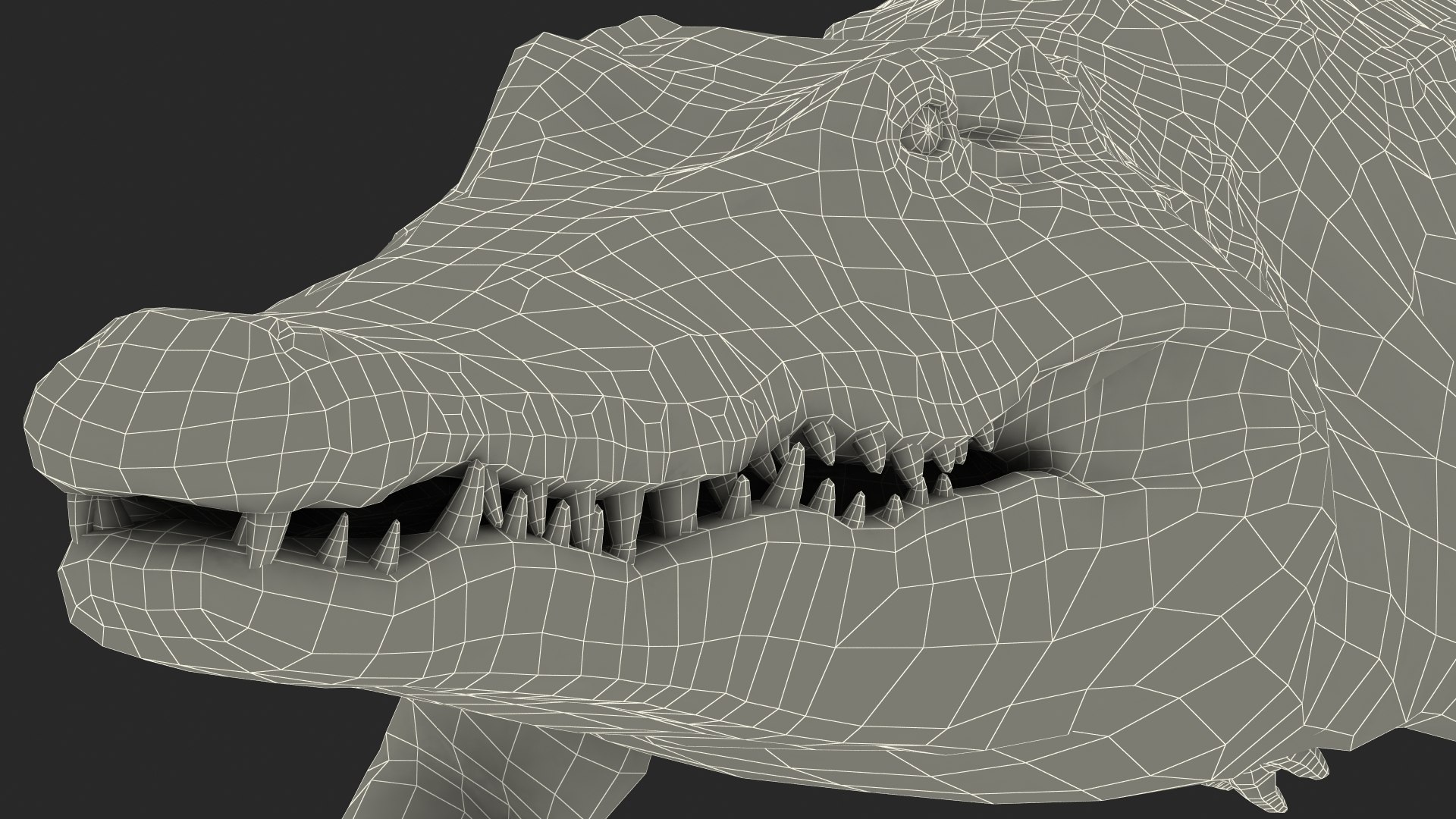 crocodile swiming animal rigged 3D model https://p.turbosquid.com/ts-thumb/Rt/AVm6ou/dNGPwgap/animatedcrocodileswimingrigged3dsmodel018/jpg/1568307222/1920x1080/fit_q87/f3443ad140d010f4f8118db6f903b7089926c371/animatedcrocodileswimingrigged3dsmodel018.jpg