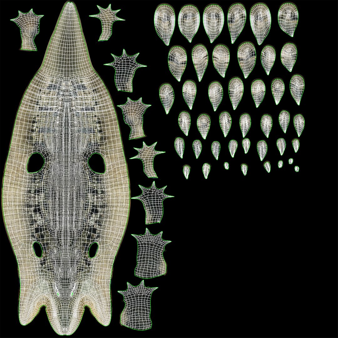 crocodile swiming animal rigged 3D model https://p.turbosquid.com/ts-thumb/Rt/AVm6ou/iY1JsCP4/animatedcrocodileswimingrigged3dsmodel011/jpg/1568307188/1920x1080/fit_q87/75068341dedb90eb0fc48984f3fc02a289cb3db4/animatedcrocodileswimingrigged3dsmodel011.jpg