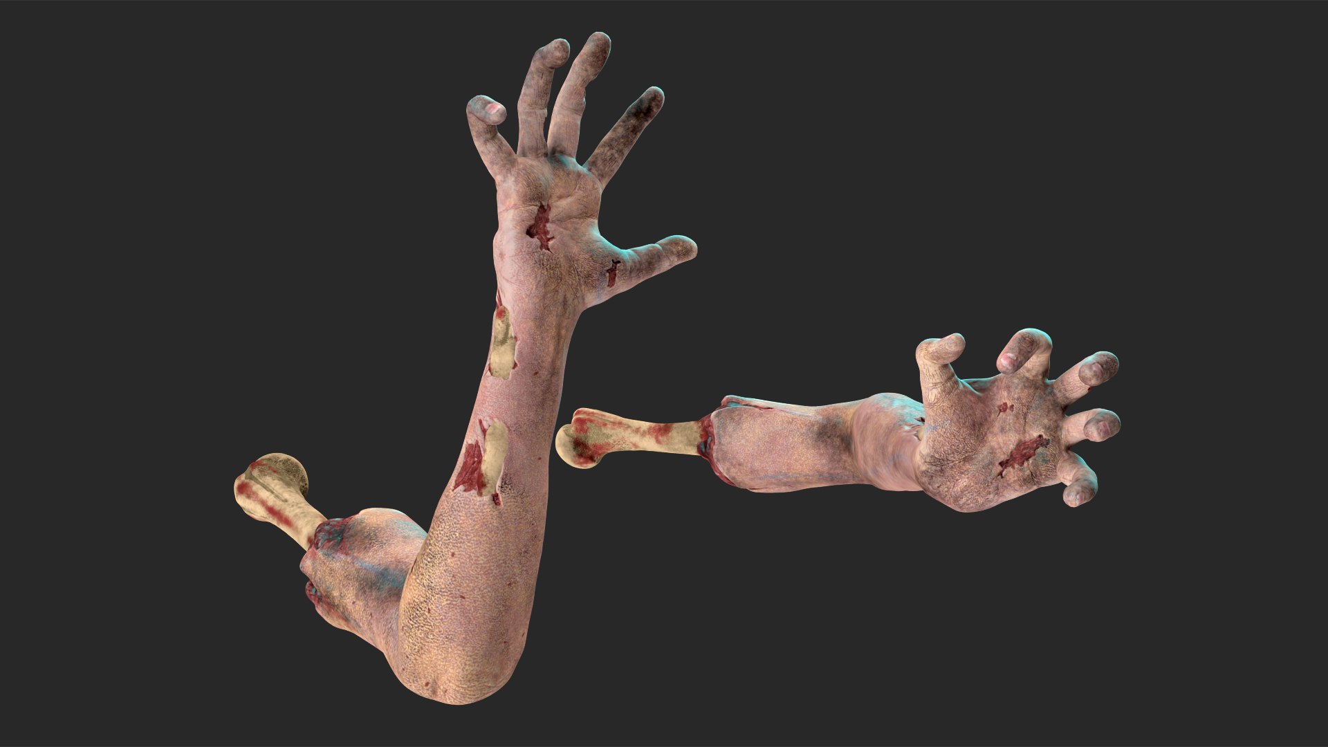 Bloody Zombie Arms Rigged for Cinema 4D 3D model preview