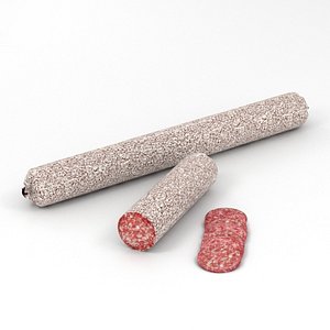 3D salami sausage meat model