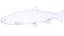 Trout