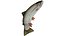 Trout